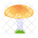 پیش‌نمایش فایل mushroom-6433486 از پک قارچ
