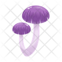 پیش‌نمایش فایل mushroom-6433487 از پک قارچ