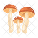 پیش‌نمایش فایل mushroom-6433488 از پک قارچ