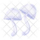پیش‌نمایش فایل mushroom-6433489 از پک قارچ