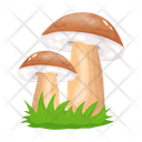 پیش‌نمایش فایل mushroom-6433490 از پک قارچ