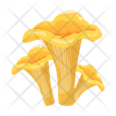 پیش‌نمایش فایل mushroom-6433491 از پک قارچ