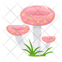 پیش‌نمایش فایل mushroom-6433492 از پک قارچ