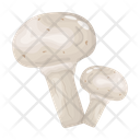 پیش‌نمایش فایل mushroom-6433493 از پک قارچ