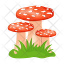 پیش‌نمایش فایل mushroom-6433494 از پک قارچ