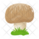 پیش‌نمایش فایل mushroom-6433496 از پک قارچ