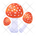 پیش‌نمایش فایل mushroom-6433497 از پک قارچ
