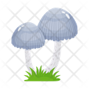 پیش‌نمایش فایل mushroom-6433498 از پک قارچ