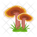 پیش‌نمایش فایل mushroom-6433499 از پک قارچ