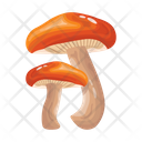 پیش‌نمایش فایل mushroom-6433500 از پک قارچ