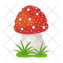 پیش‌نمایش فایل mushroom-6433503 از پک قارچ