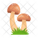 پیش‌نمایش فایل mushroom-6433504 از پک قارچ