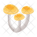 پیش‌نمایش فایل mushroom-6433505 از پک قارچ