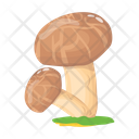 پیش‌نمایش فایل mushroom-6433506 از پک قارچ