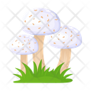 پیش‌نمایش فایل mushroom-6433508 از پک قارچ
