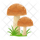 پیش‌نمایش فایل mushroom-6433510 از پک قارچ