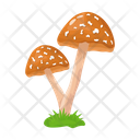 پیش‌نمایش فایل mushroom-6433511 از پک قارچ