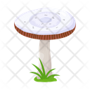 پیش‌نمایش فایل mushroom-6433512 از پک قارچ