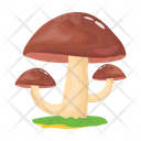 پیش‌نمایش فایل mushroom-6433513 از پک قارچ