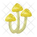 پیش‌نمایش فایل mushroom-6433514 از پک قارچ