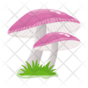 پیش‌نمایش فایل mushroom-6433515 از پک قارچ