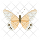 پیش‌نمایش فایل butterfly-6439308 از پک پروانه