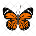 پیش‌نمایش فایل butterfly-6439309 از پک پروانه