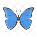 پیش‌نمایش فایل butterfly-6439310 از پک پروانه