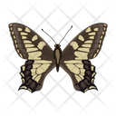 پیش‌نمایش فایل butterfly-6439312 از پک پروانه