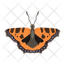پیش‌نمایش فایل butterfly-6439313 از پک پروانه