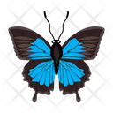 پیش‌نمایش فایل butterfly-6439314 از پک پروانه