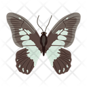 پیش‌نمایش فایل butterfly-6439316 از پک پروانه