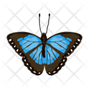 پیش‌نمایش فایل butterfly-6439320 از پک پروانه