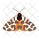 پیش‌نمایش فایل butterfly-6439321 از پک پروانه