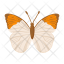 پیش‌نمایش فایل butterfly-6439324 از پک پروانه