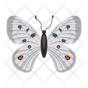 پیش‌نمایش فایل butterfly-6439325 از پک پروانه