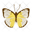 پیش‌نمایش فایل butterfly-6439327 از پک پروانه