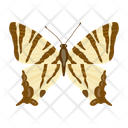 پیش‌نمایش فایل butterfly-6439328 از پک پروانه