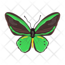 پیش‌نمایش فایل butterfly-6439331 از پک پروانه