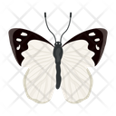 پیش‌نمایش فایل butterfly-6439332 از پک پروانه