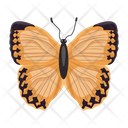 پیش‌نمایش فایل butterfly-6439333 از پک پروانه