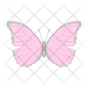 پیش‌نمایش فایل butterfly-6439334 از پک پروانه