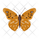 پیش‌نمایش فایل butterfly-6439335 از پک پروانه