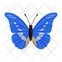 پیش‌نمایش فایل butterfly-6439336 از پک پروانه