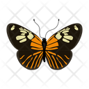 پیش‌نمایش فایل butterfly-6439337 از پک پروانه