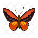 پیش‌نمایش فایل butterfly-6439339 از پک پروانه