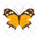 پیش‌نمایش فایل butterfly-6439340 از پک پروانه