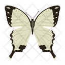 پیش‌نمایش فایل butterfly-6439342 از پک پروانه