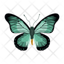پیش‌نمایش فایل butterfly-6439343 از پک پروانه
