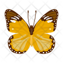 پیش‌نمایش فایل butterfly-6439344 از پک پروانه